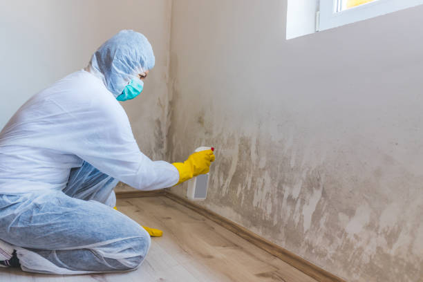 Hvac And Air Duct Mold Remediation inspection of HVAC system in Boalsburg
