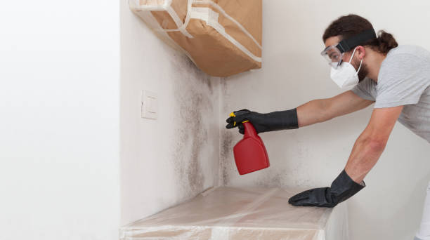 Basement Mold Remediation treatment on basement walls in Boalsburg